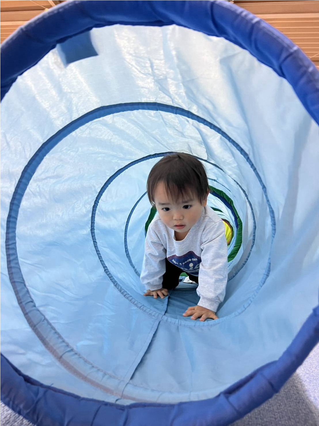 さくのトンネル１